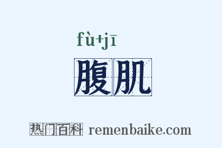 腹肌是什么意思的图片